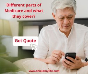 different parts of Medicare and what each
